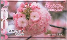 花のまわりみち 八重桜イン広島
