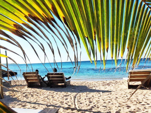 Falmouth Bamboo Beach Club Trip Cost