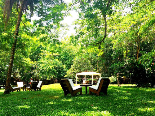 Montego Bay Dunn's River Falls Excursion with Cocktails and Lunch at Reggae Hill 
