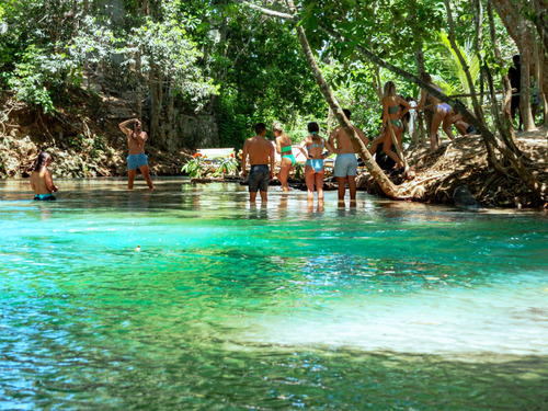 Montego Bay Dunn's River Falls Excursion with Cocktails and Lunch at Reggae Hill 