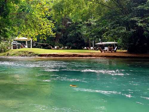 Montego Bay Dunn's River Falls Excursion with Cocktails and Lunch at Reggae Hill 